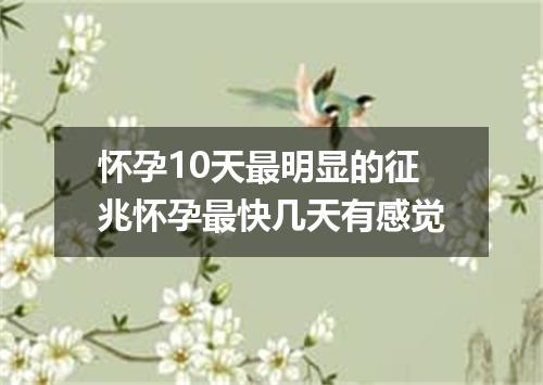 怀孕10天最明显的征兆怀孕最快几天有感觉