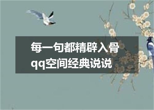 每一句都精辟入骨 qq空间经典说说