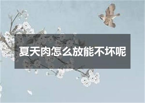 夏天肉怎么放能不坏呢