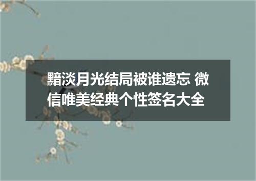 黯淡月光结局被谁遗忘 微信唯美经典个性签名大全