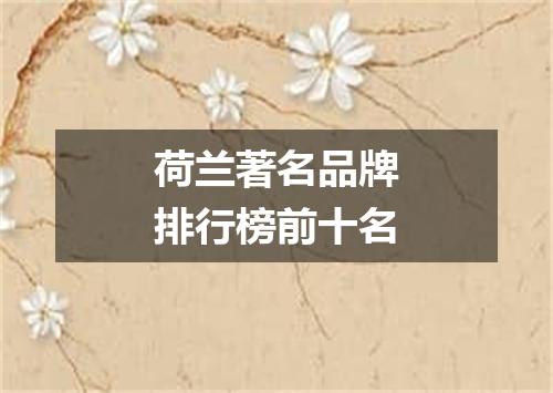 荷兰著名品牌排行榜前十名