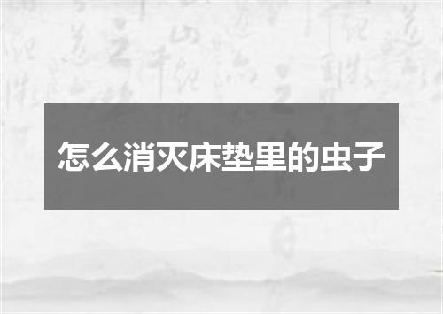 怎么消灭床垫里的虫子