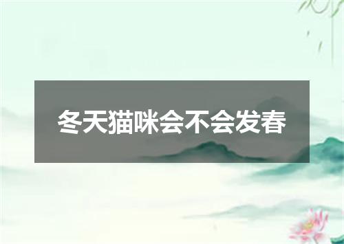 冬天猫咪会不会发春