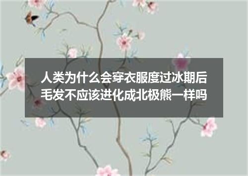 人类为什么会穿衣服度过冰期后毛发不应该进化成北极熊一样吗
