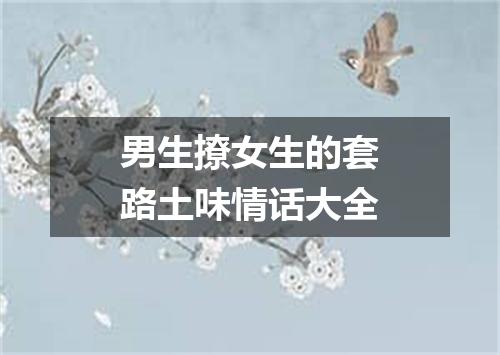 男生撩女生的套路土味情话大全