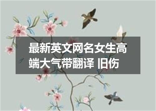 最新英文网名女生高端大气带翻译 旧伤