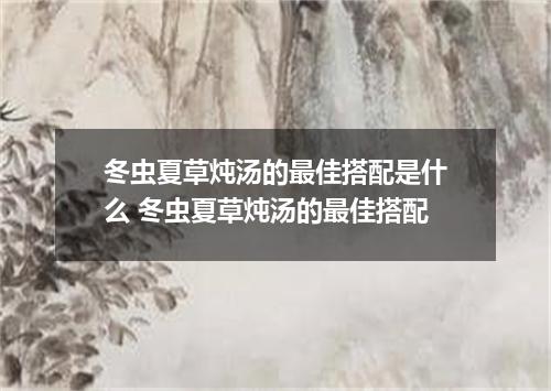 冬虫夏草炖汤的最佳搭配是什么 冬虫夏草炖汤的最佳搭配