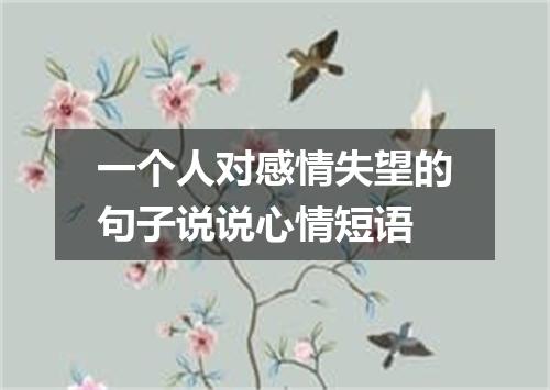 一个人对感情失望的句子说说心情短语