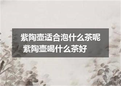 紫陶壶适合泡什么茶呢 紫陶壶喝什么茶好