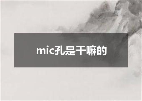 mic孔是干嘛的