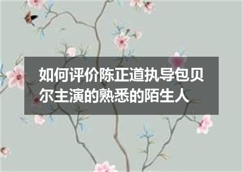 如何评价陈正道执导包贝尔主演的熟悉的陌生人