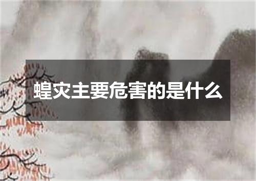 蝗灾主要危害的是什么