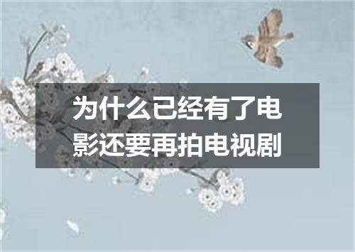 为什么已经有了电影还要再拍电视剧
