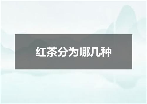 红茶分为哪几种