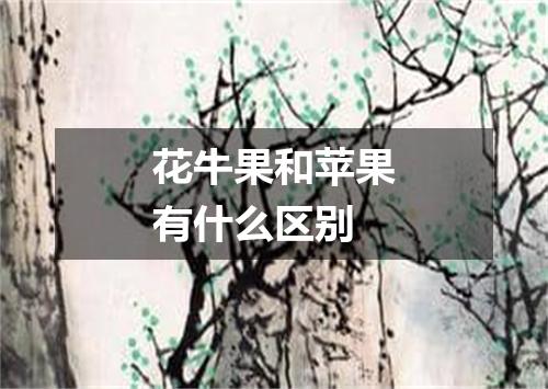 花牛果和苹果有什么区别