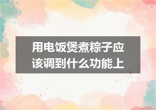 用电饭煲煮粽子应该调到什么功能上