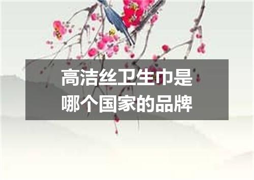 高洁丝卫生巾是哪个国家的品牌