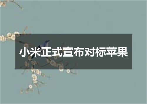小米正式宣布对标苹果