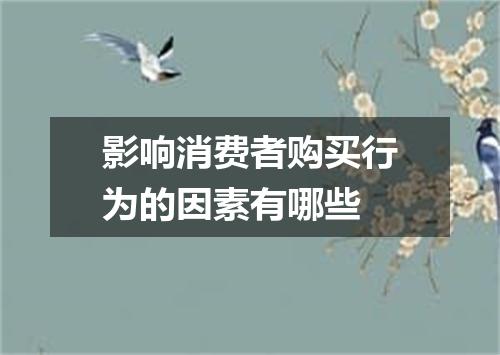 影响消费者购买行为的因素有哪些