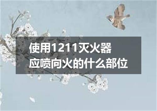 使用1211灭火器应喷向火的什么部位