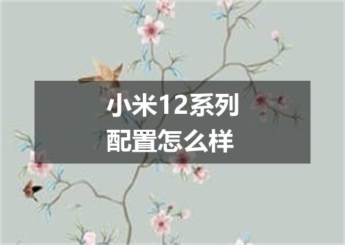 小米12系列配置怎么样