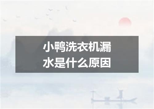 小鸭洗衣机漏水是什么原因