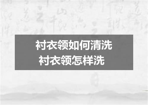 衬衣领如何清洗 衬衣领怎样洗