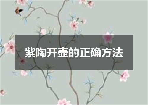 紫陶开壶的正确方法