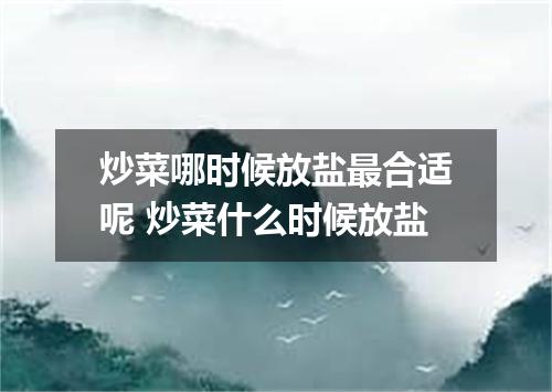 炒菜哪时候放盐最合适呢 炒菜什么时候放盐