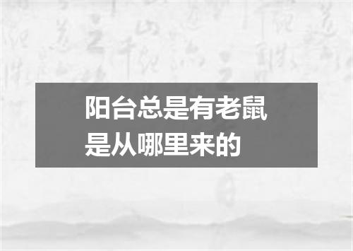 阳台总是有老鼠是从哪里来的