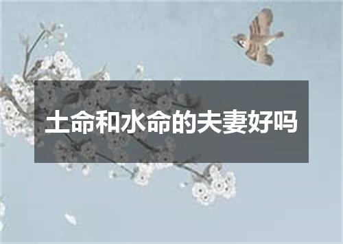 土命和水命的夫妻好吗