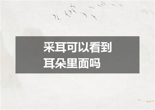采耳可以看到耳朵里面吗
