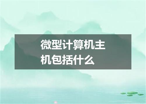 微型计算机主机包括什么
