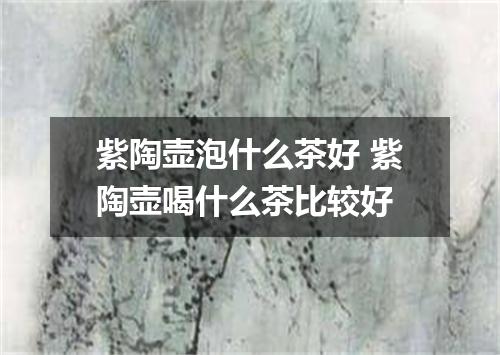 紫陶壶泡什么茶好 紫陶壶喝什么茶比较好