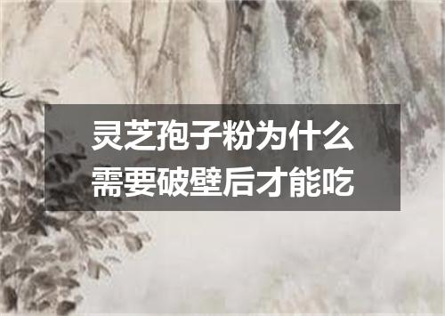 灵芝孢子粉为什么需要破壁后才能吃