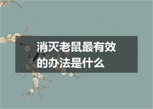 消灭老鼠最有效的办法是什么