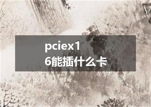 pciex16能插什么卡