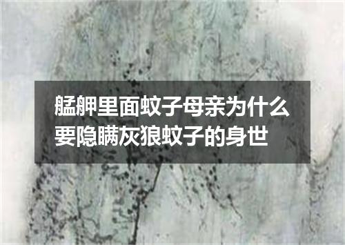 艋舺里面蚊子母亲为什么要隐瞒灰狼蚊子的身世