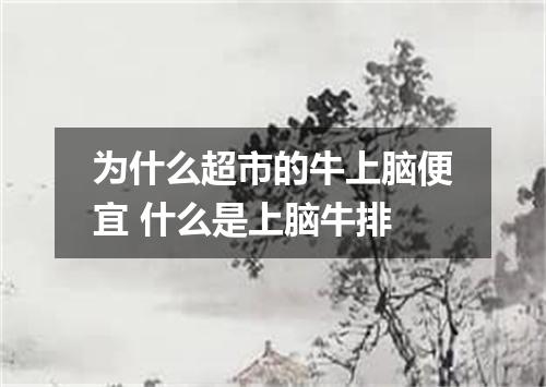 为什么超市的牛上脑便宜 什么是上脑牛排