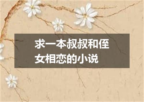 求一本叔叔和侄女相恋的小说