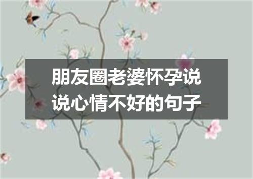 朋友圈老婆怀孕说说心情不好的句子