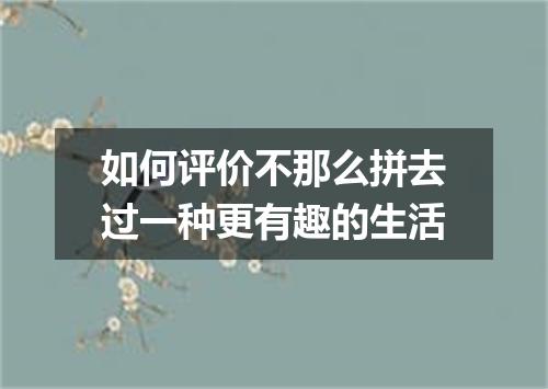 如何评价不那么拼去过一种更有趣的生活