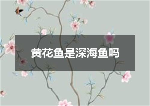 黄花鱼是深海鱼吗