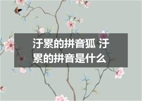汙累的拼音狐 汙累的拼音是什么