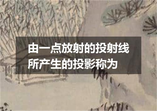 由一点放射的投射线所产生的投影称为