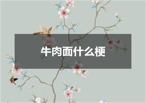 牛肉面什么梗