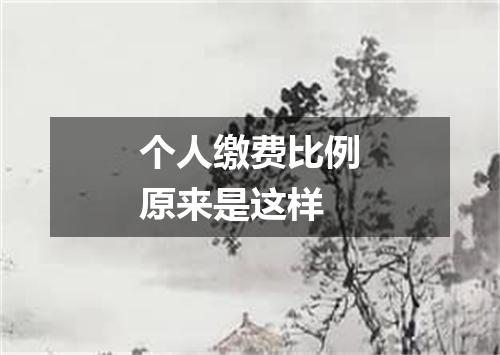 个人缴费比例原来是这样