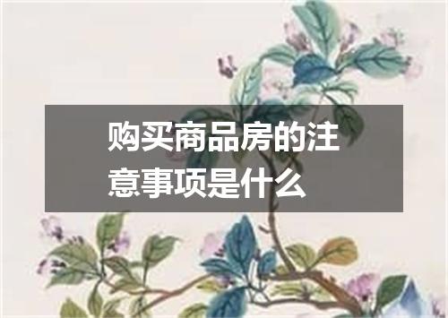 购买商品房的注意事项是什么