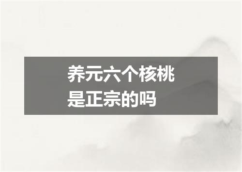 养元六个核桃是正宗的吗