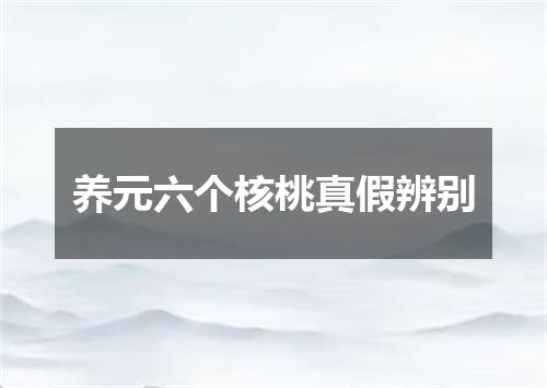 养元六个核桃真假辨别